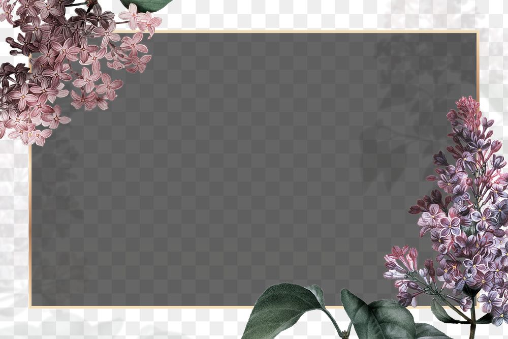 Png gold frame with lilac border transparent background