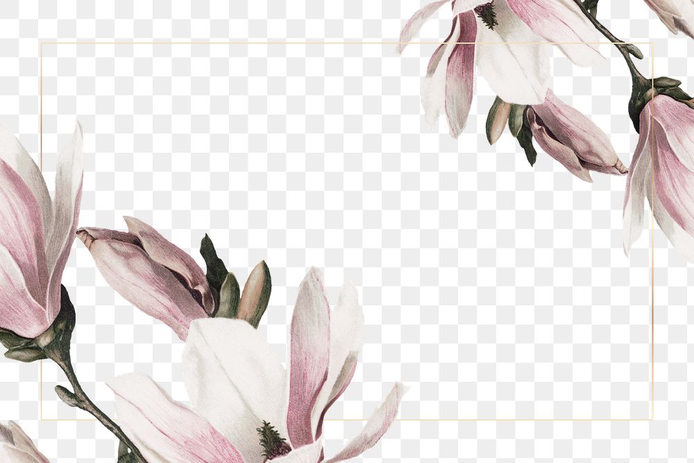 Png wedding frame with magnolia border transparent background