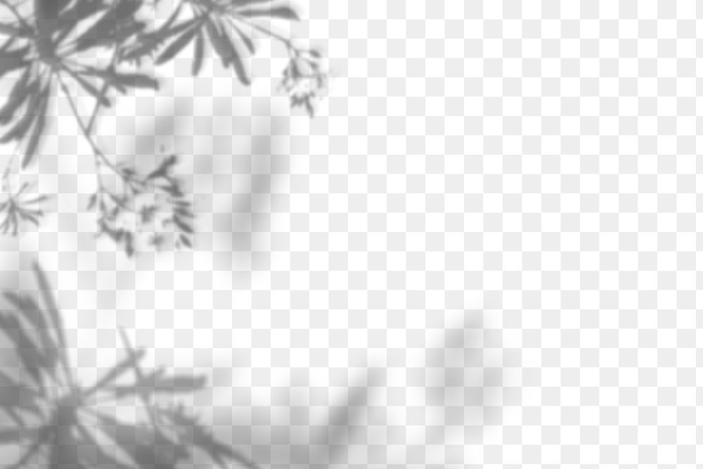 Png plant shadow background, botanical shadow in transparent design