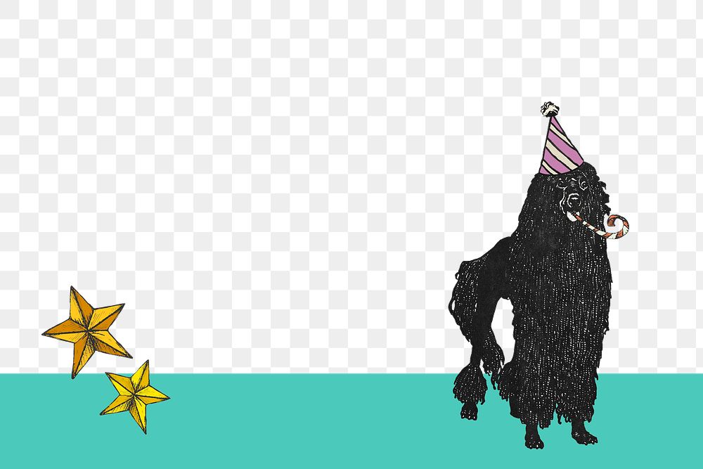 Poodle png border cute dog in birthday cone hat