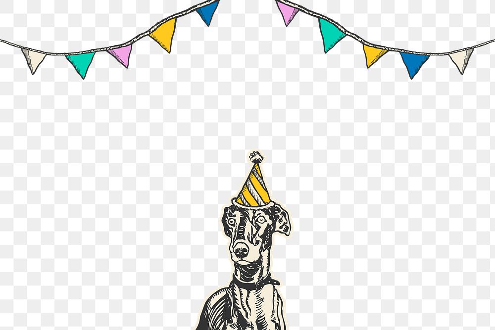 Greyhound png border cute dog in birthday cone hat