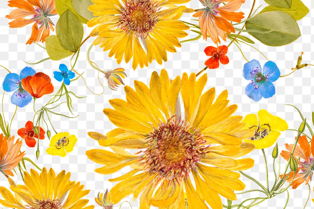 Png spring floral pattern transparent background, remixed from public domain artworks