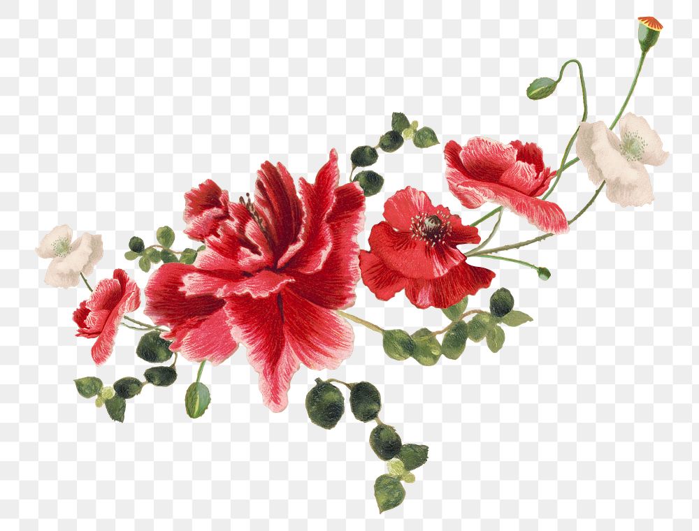 Spring flower png sticker illustration, remixed from public domain artworks