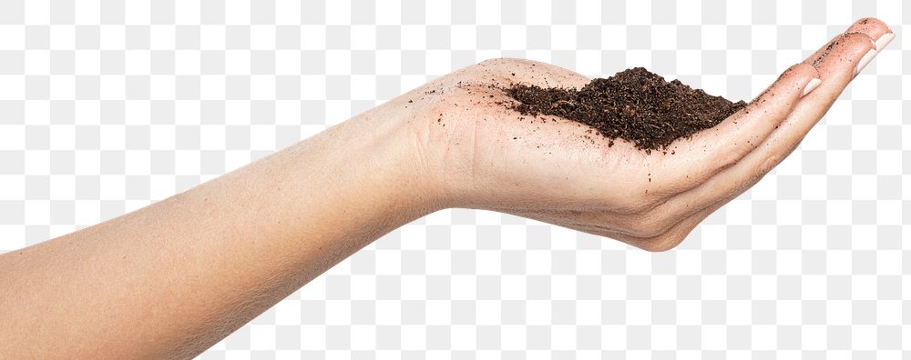 Soil in hand png mockup for reforestation to prevent the climate change