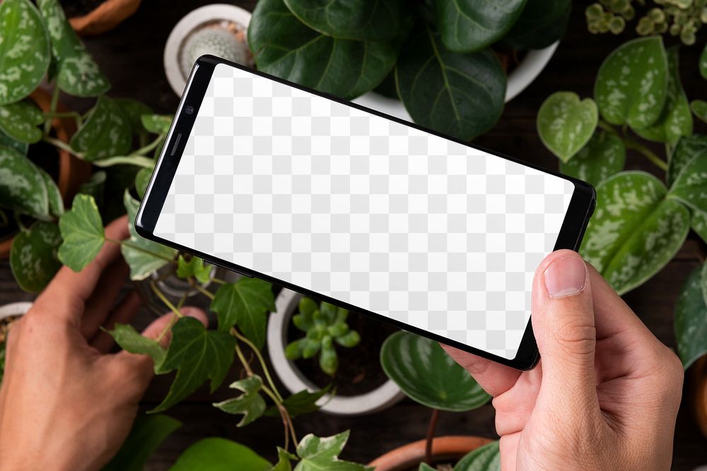 Phone png screen mockup in plant parent’s hand