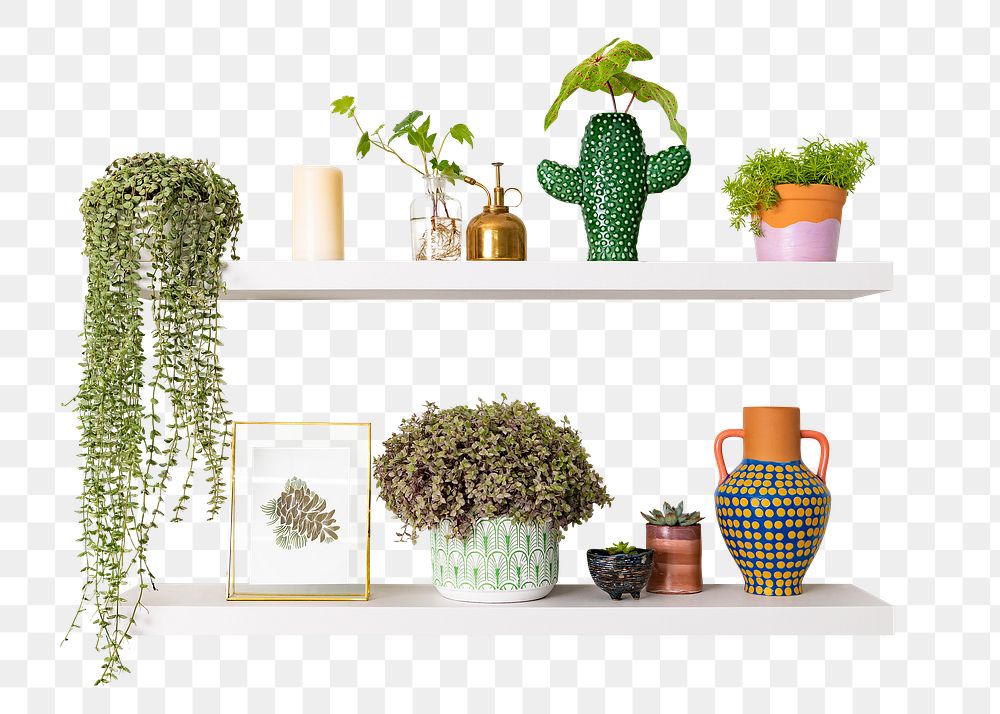 Png plant pots mockup on white shelf home decor