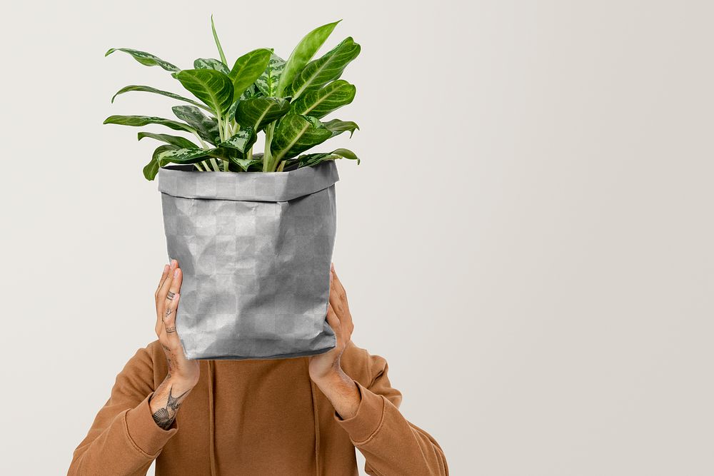 Png paper plant pot mockup with dumb cane inside held by plant lover