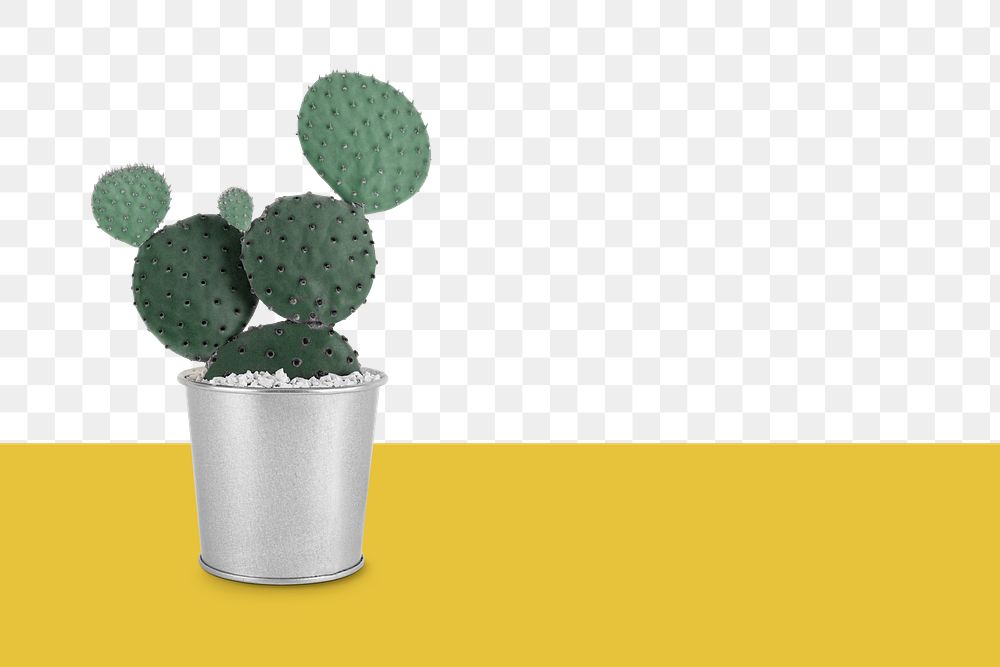 Potted cactus png background retro remix