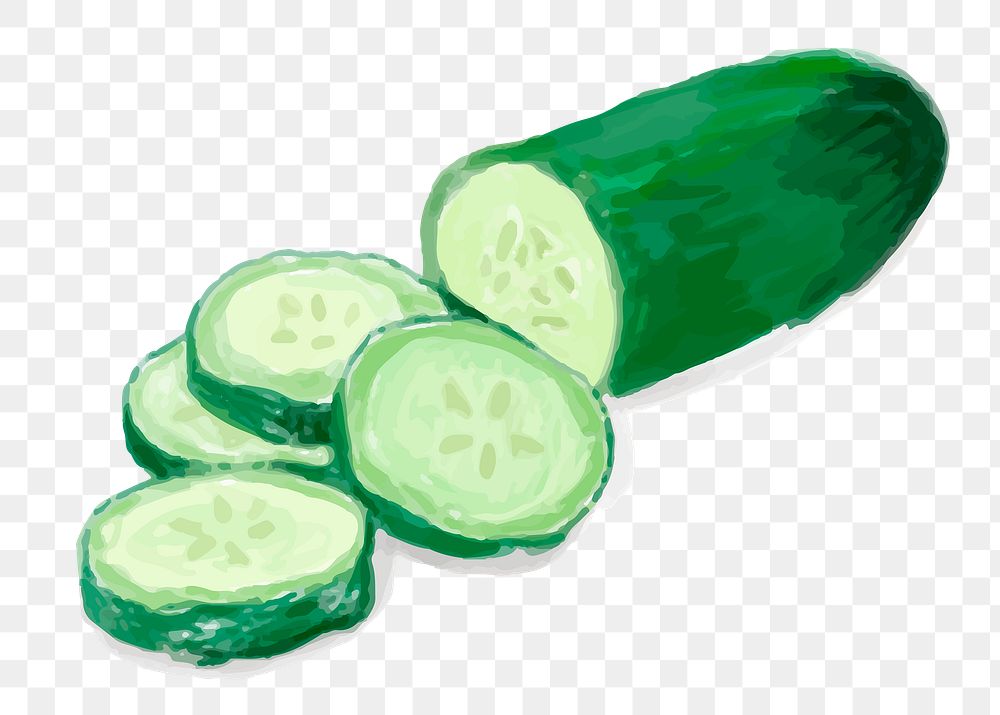 Green cucumber watercolor drawing png sticker 