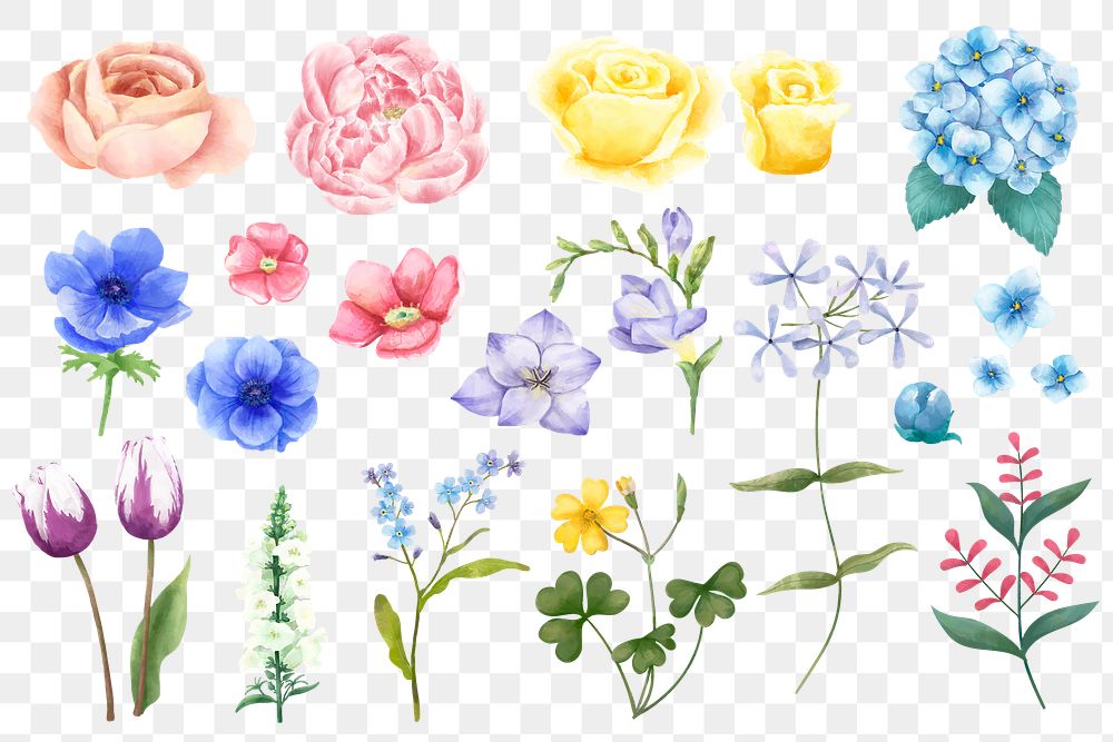 Blooming flowers png sticker floral set