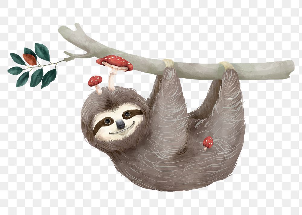 Watercolor sloth png, cute animal sticker