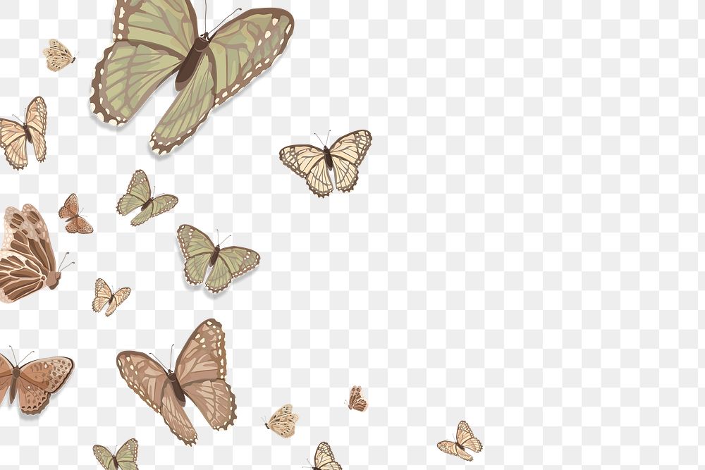 Png butterfly border transparent background