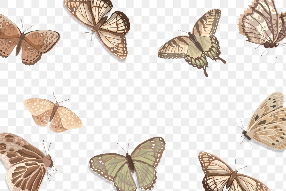 Butterfly pattern png, transparent background