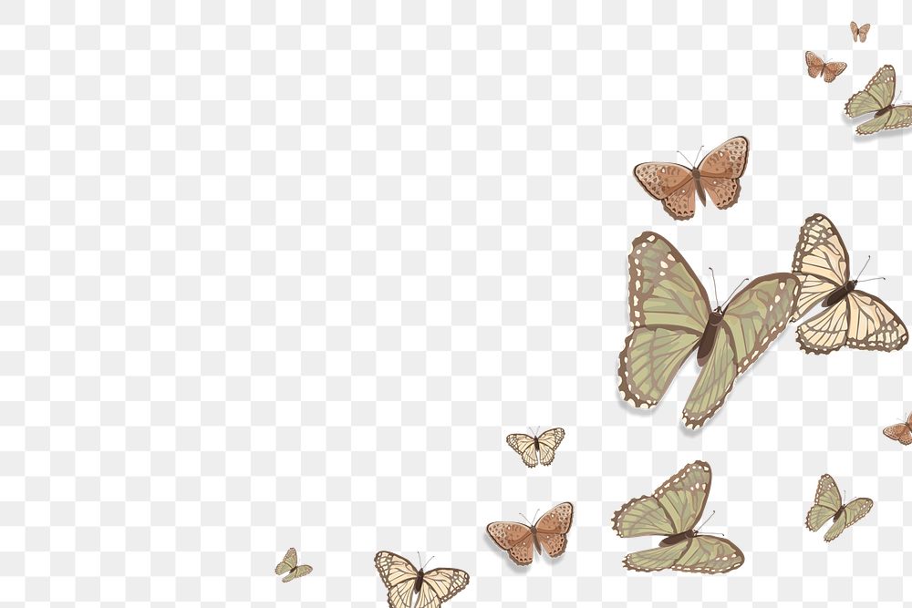 Png butterfly border transparent background