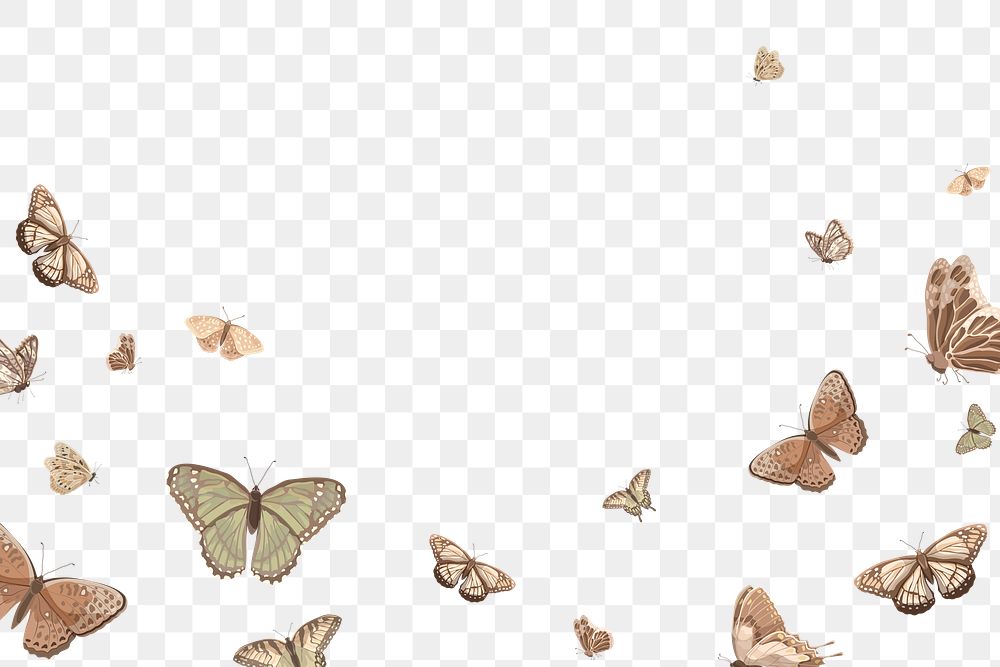Png aesthetic butterfly border, transparent background
