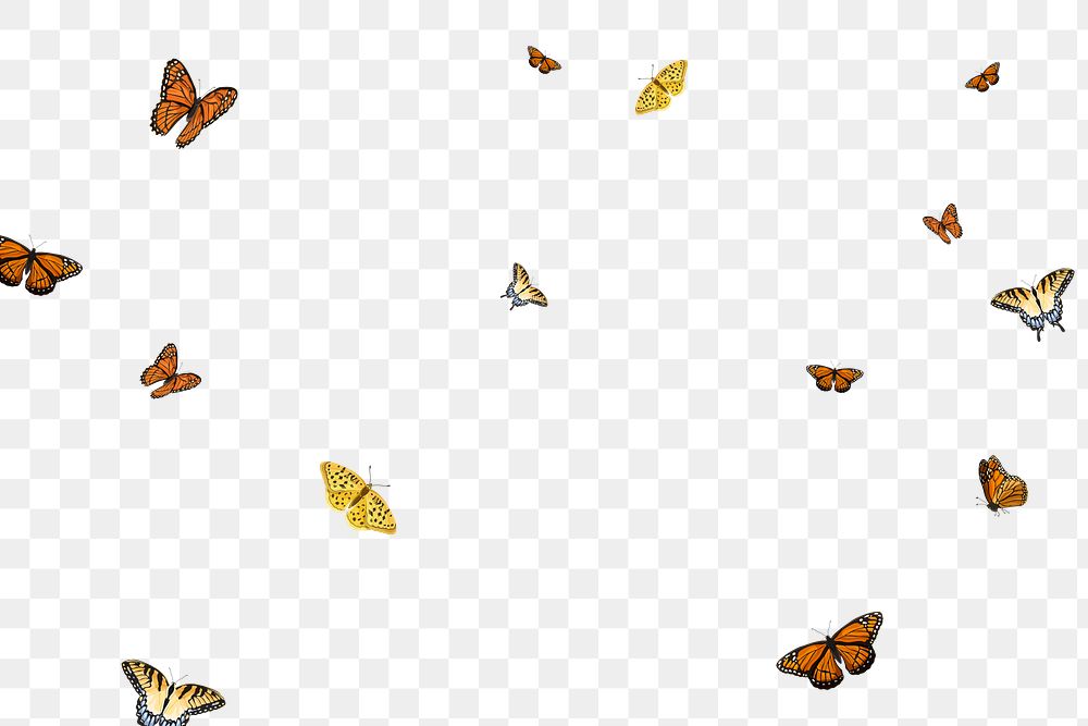 Png butterfly background, transparent design 