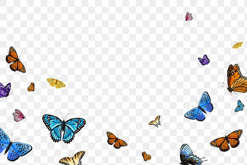 Png aesthetic butterfly border, transparent background