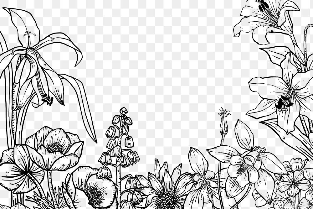 Flower border png hand drawn design, transparent background