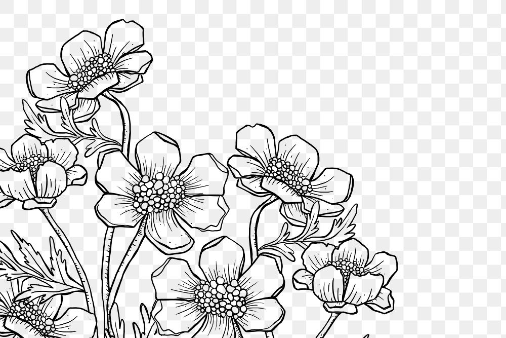 Floral line art png border, hand drawn design, transparent background