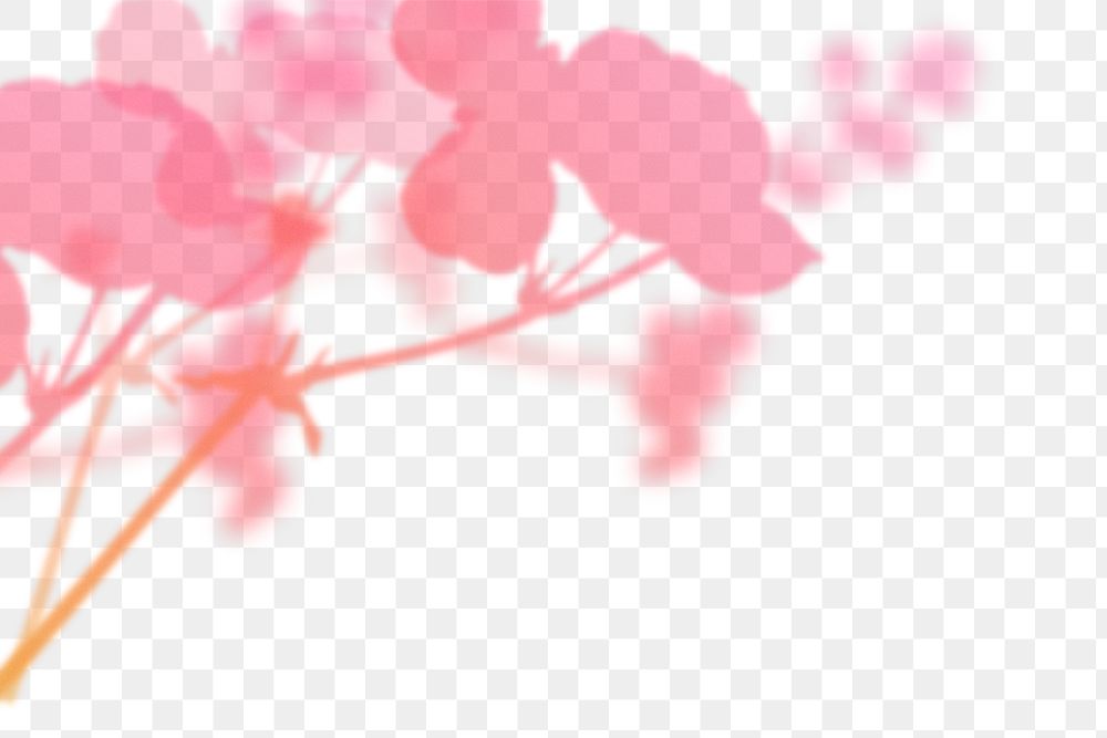 Pink gradient png floral border, with transparent background, aesthetic design.