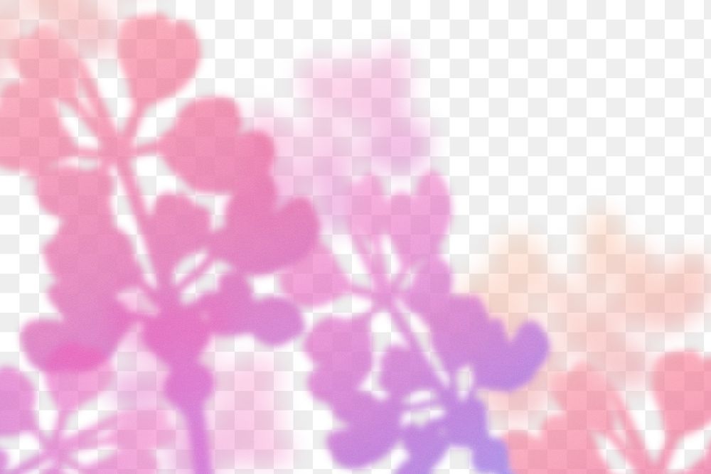 Pink gradient png flower border, with transparent background, aesthetic design.