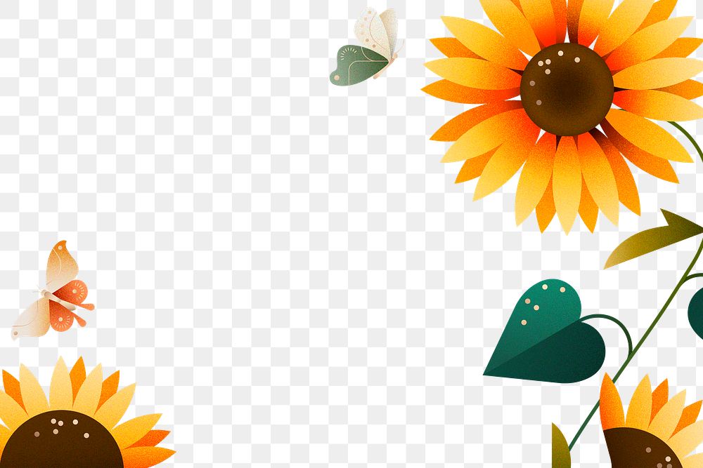 Sunflower png border transparent, color graphic, illustrative sticker