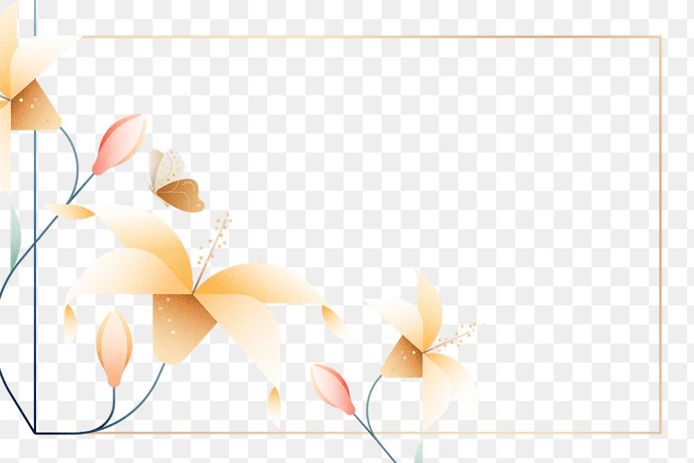 Flat white png flower design frame, transparent background, aesthetic design