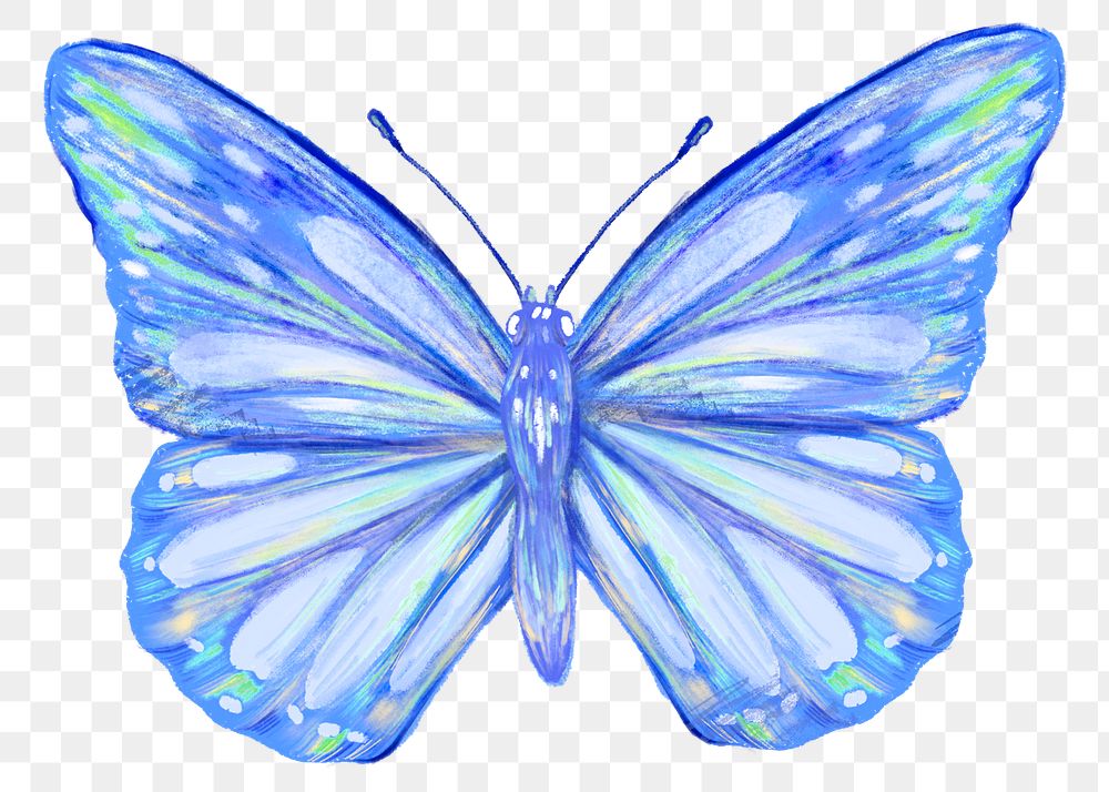 Blue butterfly png sticker, aesthetic design, transparent background