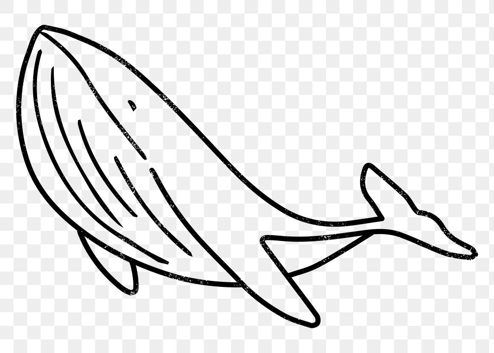 Whale doodle png sticker, sea animal, transparent background