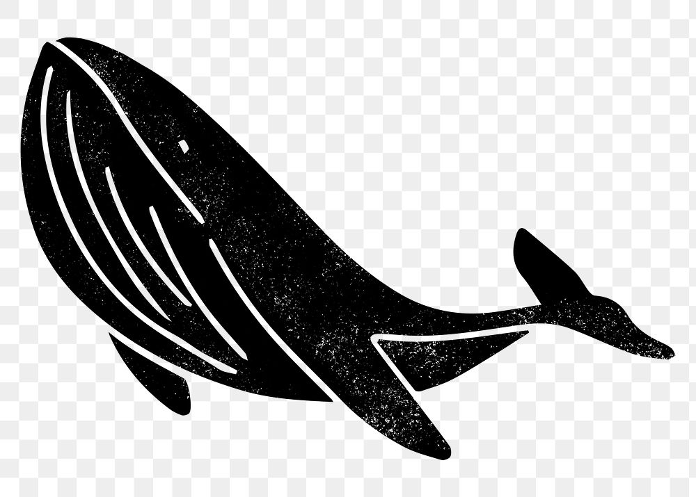 Black whale png sticker, sea animal transparent background