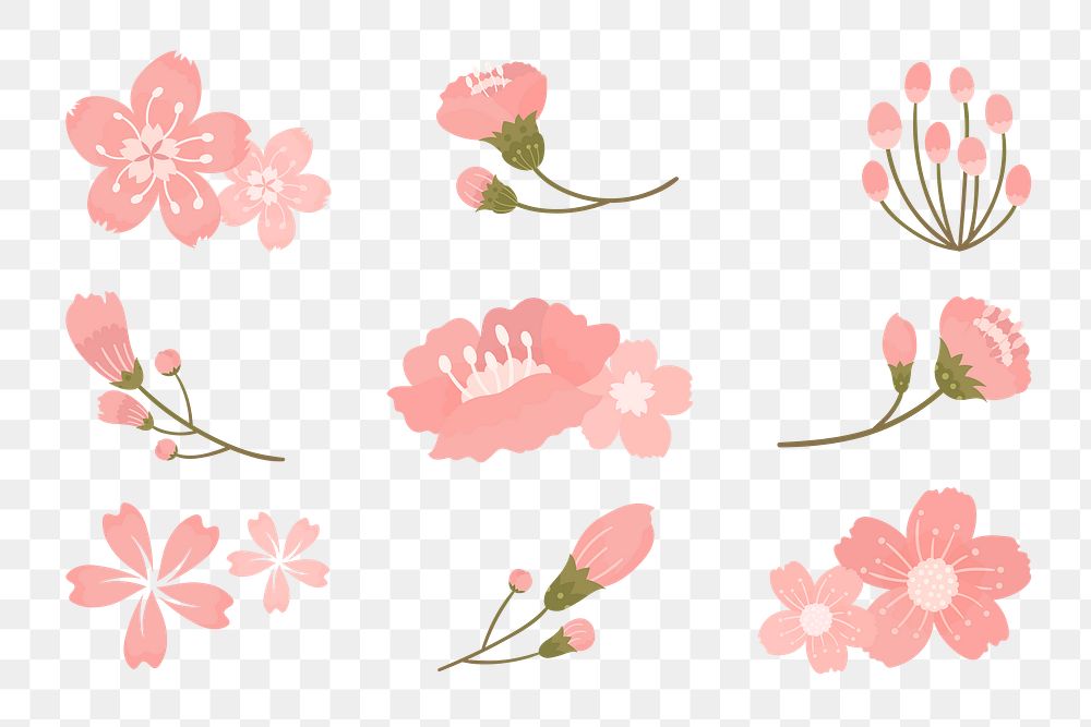 PNG sakura flower sticker element set