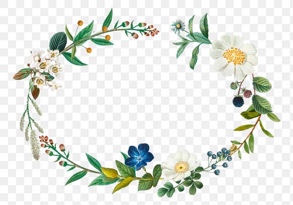 Vintage floral wreath png sticker hand drawn botanical frame