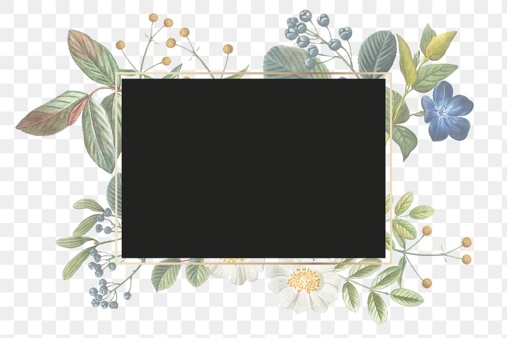 Floral frame png vintage illustration transparent background