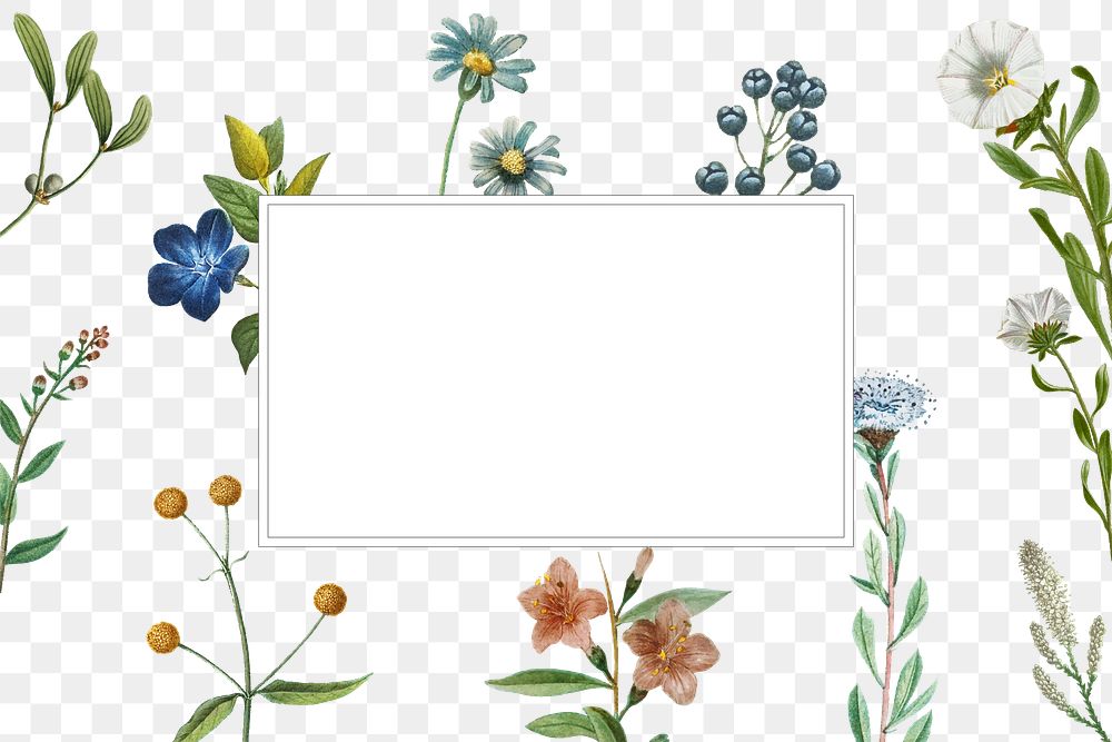 Vintage flower frame png transparent background