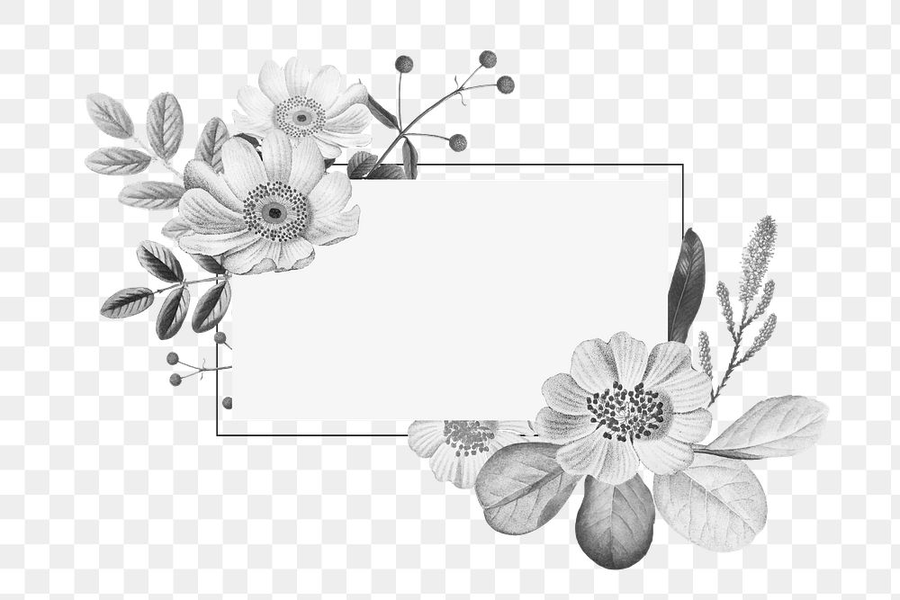 Vintage floral frame png bw hand drawn illustration