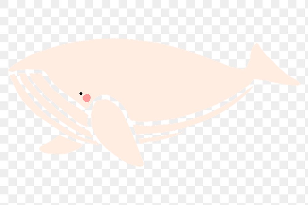 Hand drawn whale doodle transparent png