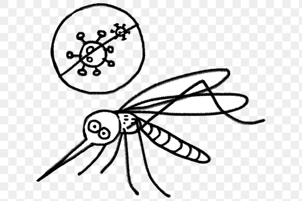 Coronavirus cannot be transmitted through mosquito bites 