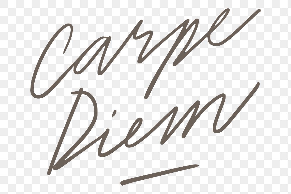 Carpe diem handwriting transparent png