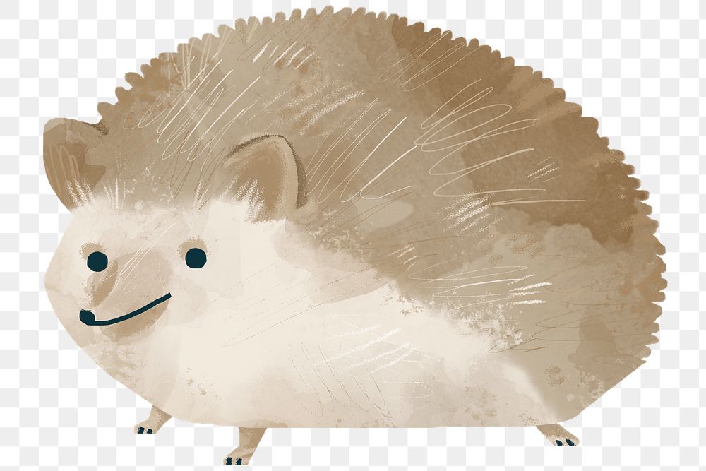 Fluffy hedgehog watercolor transparent png 