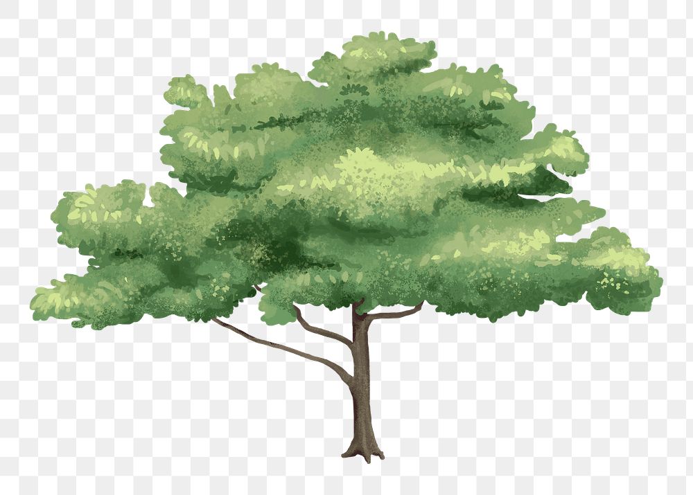 Oak tree png design element