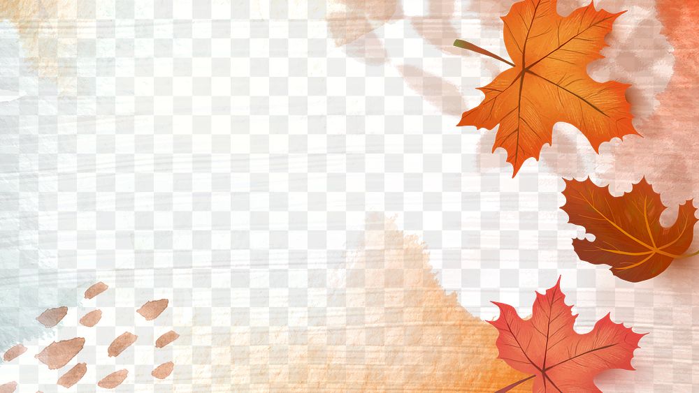 Fall season png transparent background with maple leaves