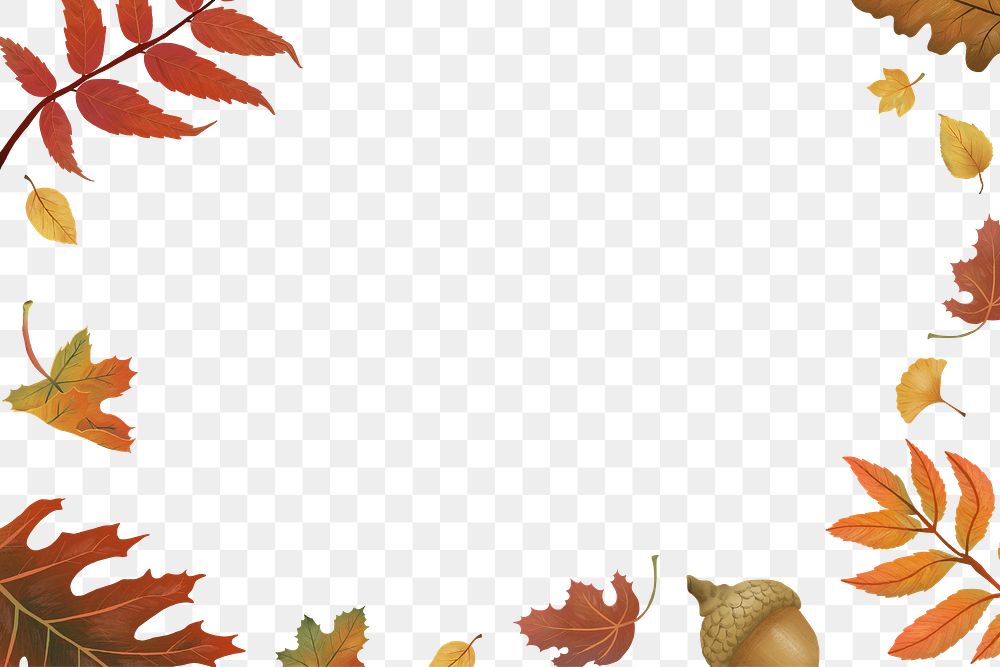 Png autumn leaves frame on transparent background