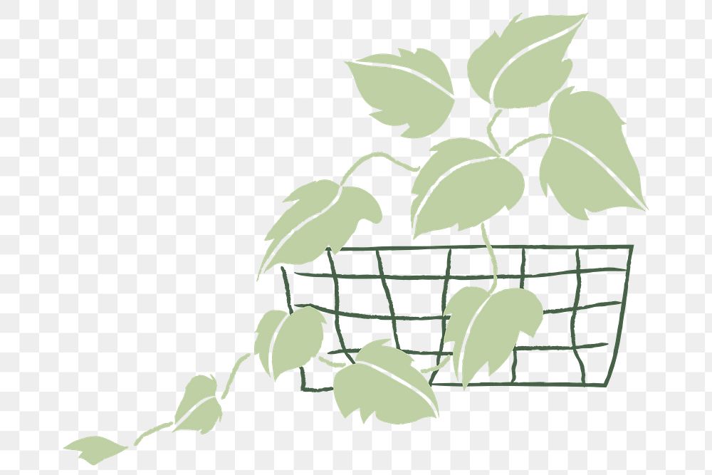 Potted houseplant png simple doodle style