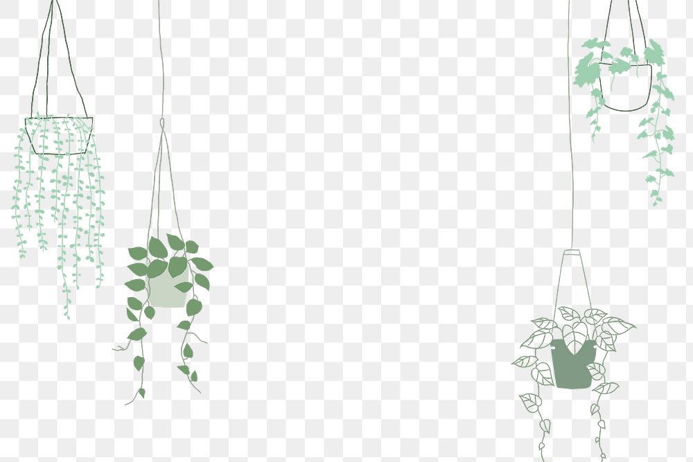 Cute plant doodle png borders