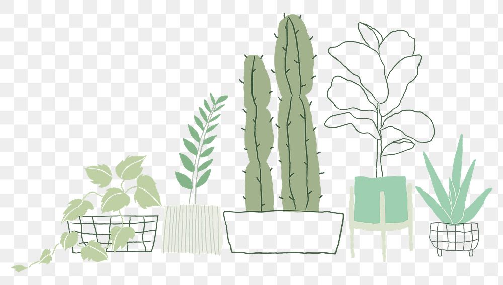 Indoor plants png background in simple doodle style