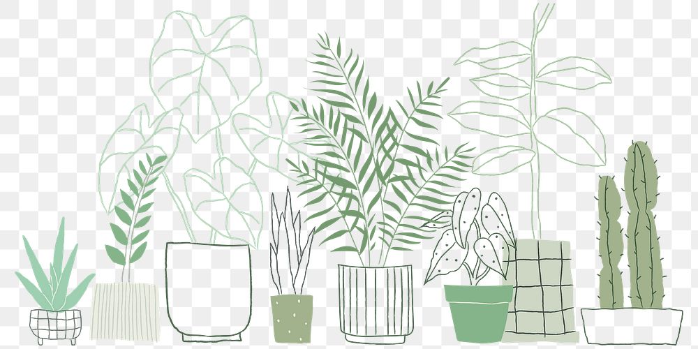 Indoor plants png background in simple doodle style