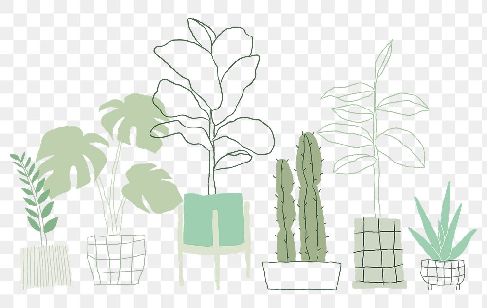 Indoor plants png background in simple doodle style