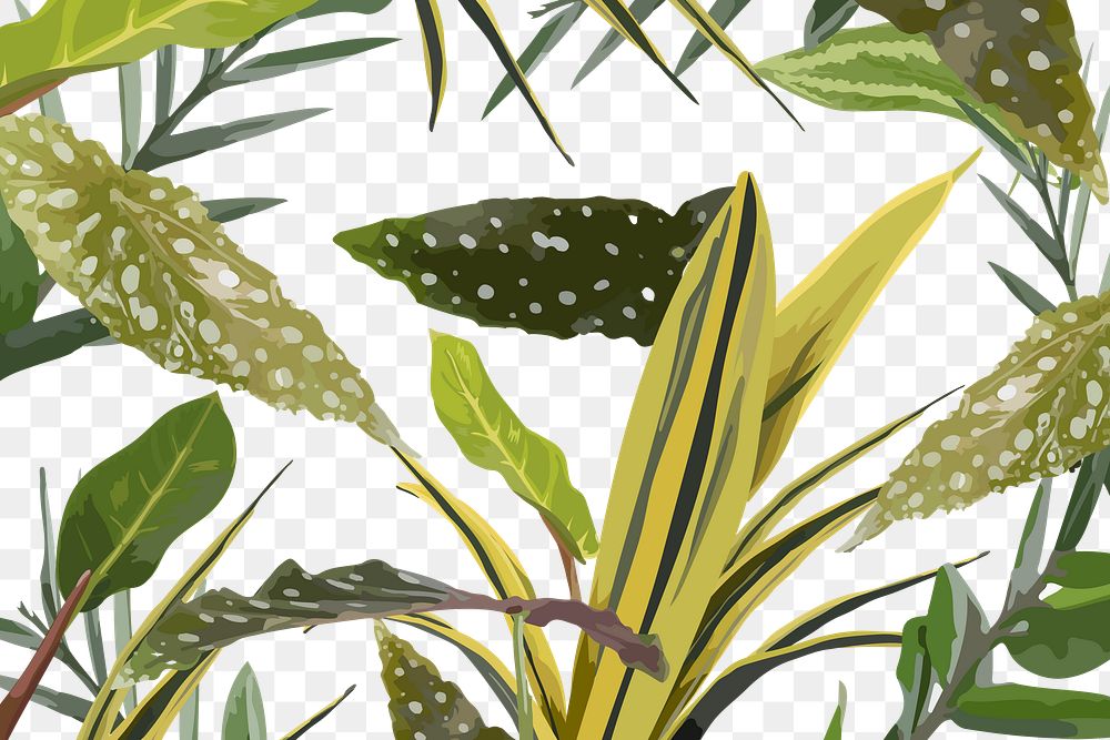 Leaf pattern PNG transparent background