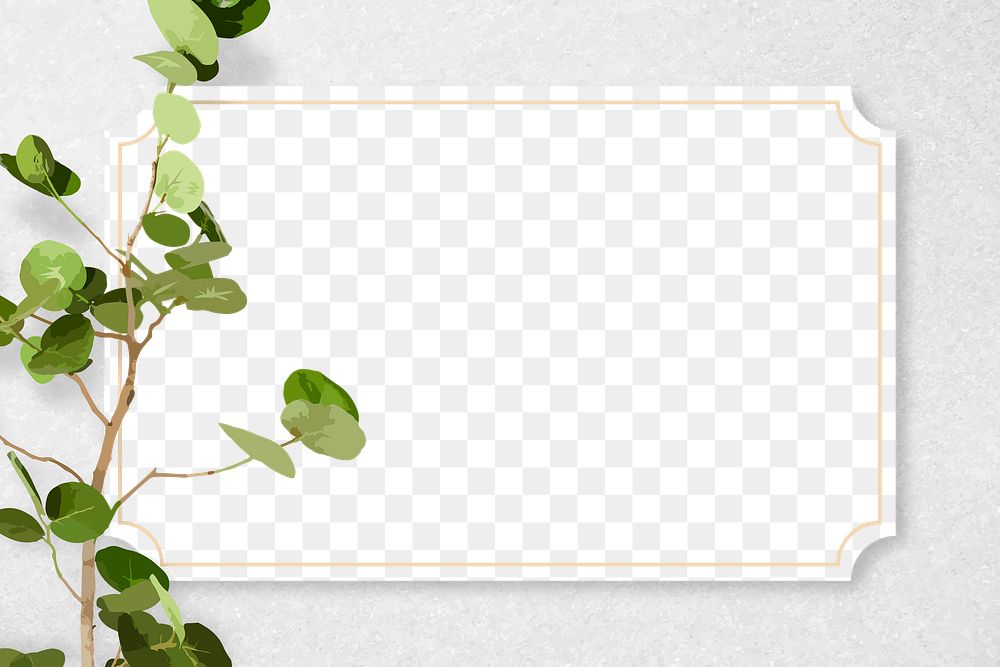 Leaf frame PNG clipart border, Seagrape plant transparent background