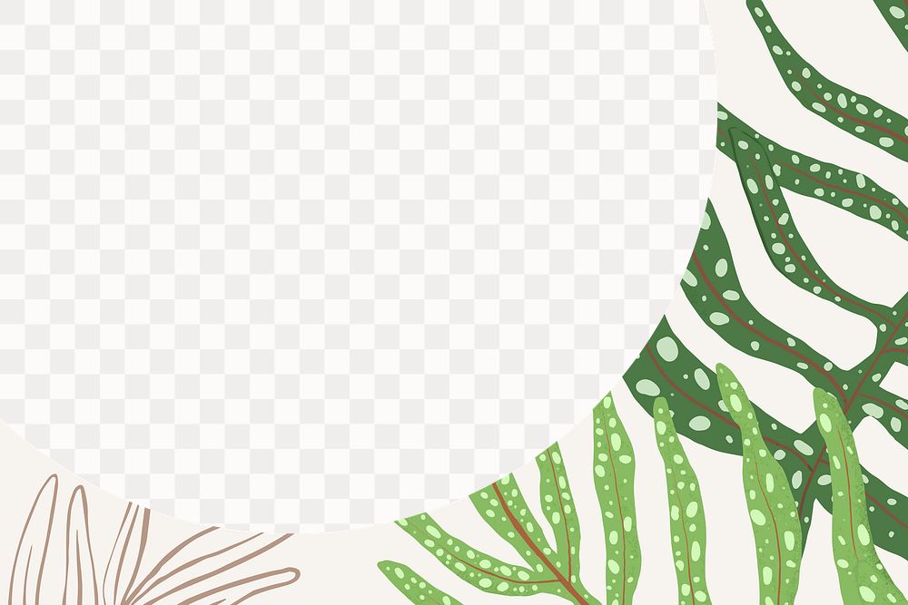 PNG frame fern tropical leaf botanical illustration